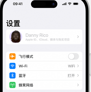 江州appleID维修服务iPhone设置中Apple ID显示为灰色无法使用 