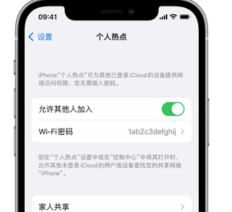 江州apple服务站点分享iPhone上个人热点丢失了怎么办