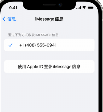 江州apple维修iPhone上无法正常发送iMessage信息 