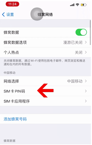 江州苹果14维修网分享如何给iPhone14的SIM卡设置密码 