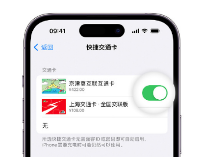 江州apple维修点分享iPhone上更换Apple Pay快捷交通卡手绘卡面 