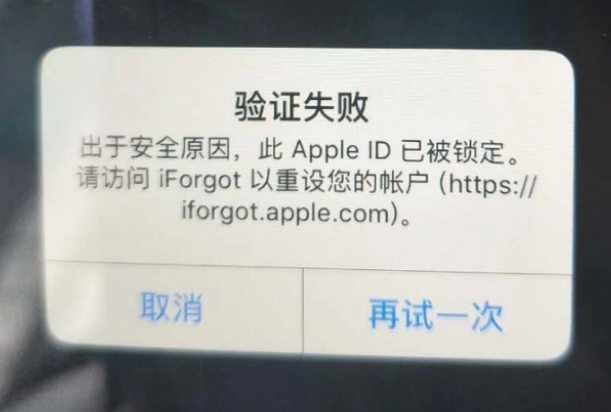 江州iPhone维修分享iPhone上正常登录或使用AppleID怎么办 