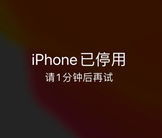 江州苹果手机维修分享:iPhone 显示“不可用”或“已停用”怎么办？还能保留数据吗？ 