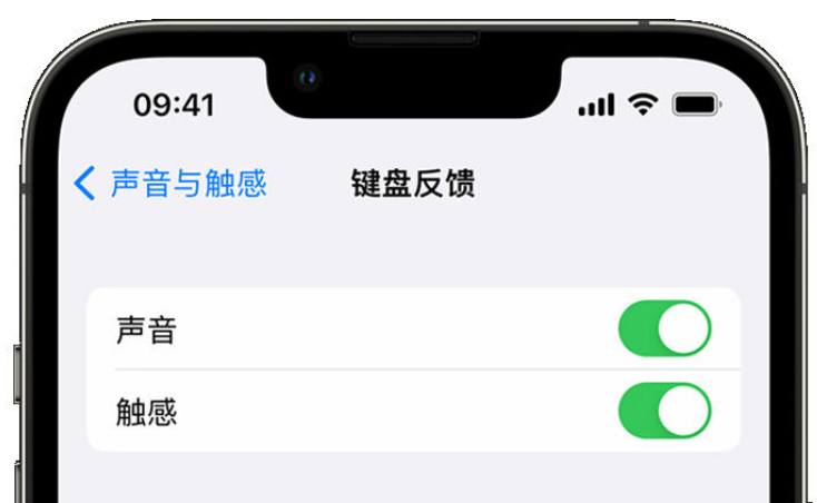 江州苹果手机维修分享iPhone 14触感键盘使用方法 