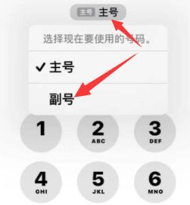 江州苹果14维修店分享iPhone 14 Pro Max使用副卡打电话的方法 