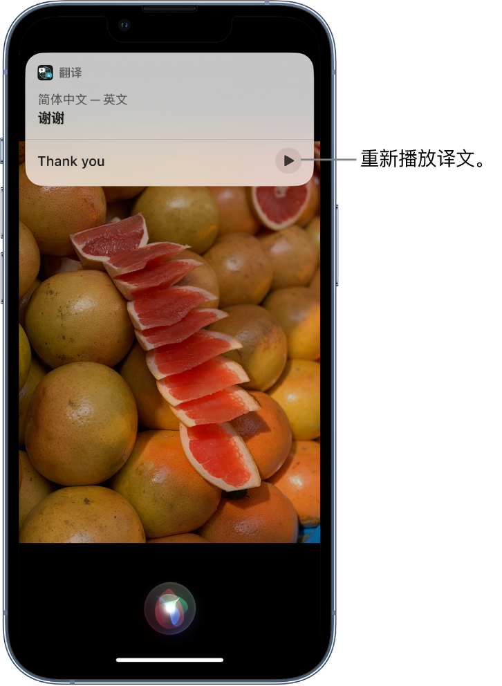 江州苹果14维修分享 iPhone 14 机型中使用 Siri：了解 Siri 能帮你做什么 