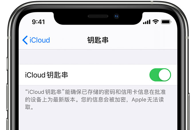 江州苹果手机维修分享在 iPhone 上开启 iCloud 钥匙串之后会储存哪些信息 