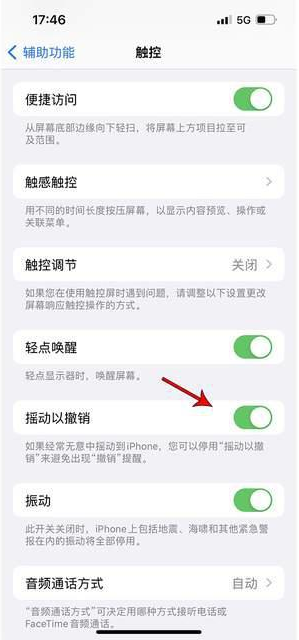 江州苹果手机维修分享iPhone手机如何设置摇一摇删除文字 